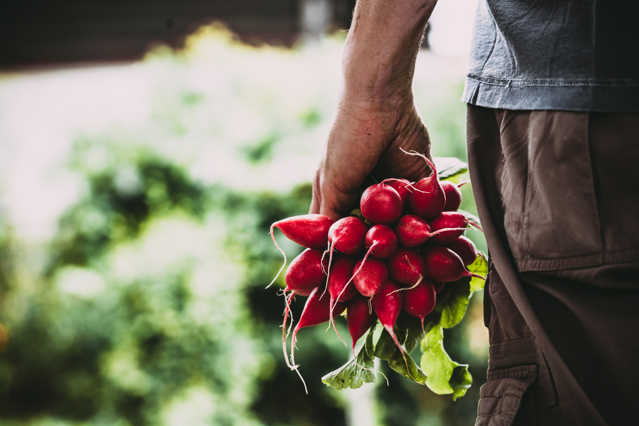 Tout ce qu'il faut savoir sur les fruits et légumes frais - Interfel